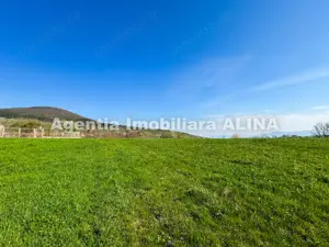 Teren intravilan 6.516 mp in Deva, prelungire str. Vulcan, spre Almas, Jud. Hunedoara. - imagine 13