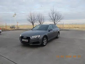 Audi A4 B9 Business Line 2019