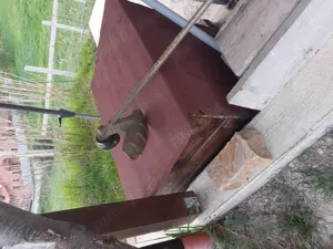 Vand cusca pentru caine, una mica alta mare - imagine 4