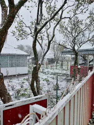 Vând casă sat Dorobanti  - imagine 4