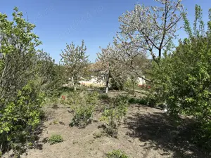 Casă cu 3 camere Zaicesti  - imagine 8