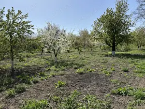 Casă cu 3 camere Zaicesti  - imagine 6