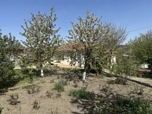 Casă cu 3 camere Zaicesti  - imagine 9