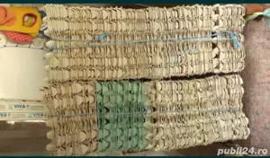 Cofraje ouă găina - imagine 2