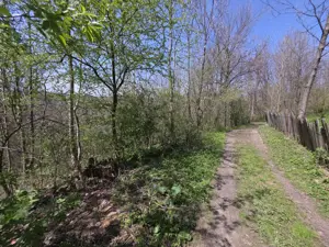 Teren foarte bine pozitionat in Brebu, Prahova - imagine 6