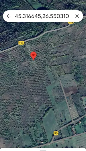 LIVADĂ PRUNI, 2800 mp., EXTRAVILAN ( VALEA PURCARULUI ); LUNCA FRUMOASĂ 