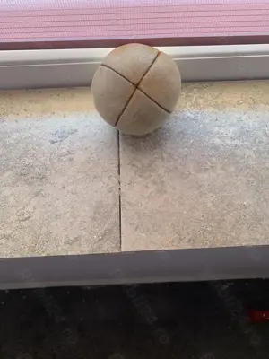 Minge oina romaneasca