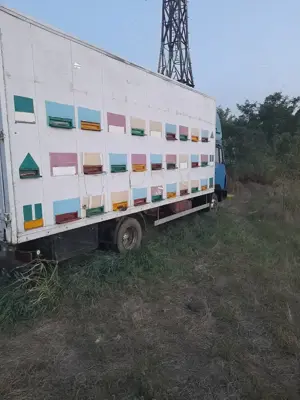 Camion omologat apicol de 7,5t schimb cu miere  - imagine 2