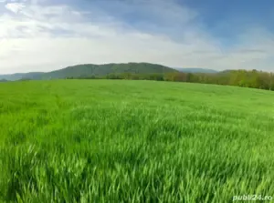 6.3 Ha Teren Extravilan Agricol in Slava Rusă