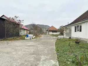 Casa cu 3 Hale si teren 8000 mp in Ulileacu de Cris, Bihor