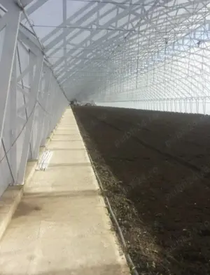 Vand sera matalica plus teren aferent - imagine 4