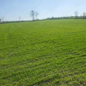 Vând teren intravilan