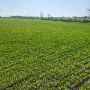 Vând teren intravilan - imagine 2