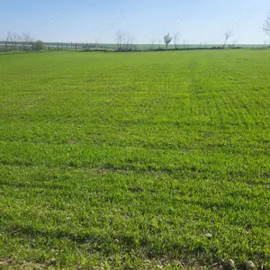 Vând teren intravilan - imagine 3