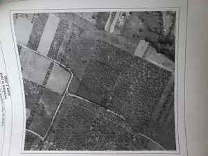 Vind teren cu livada meri - imagine 3