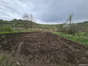 Casa Cublesul Somesan - imagine 3