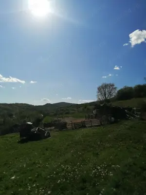 Vând teren, loc. Ampoița, jud. Alba  - imagine 3
