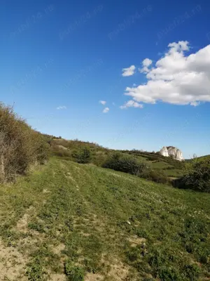 Vând teren, loc. Ampoița, jud. Alba  - imagine 7