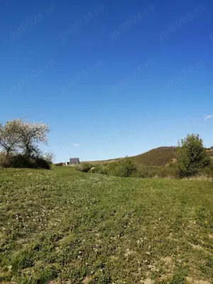 Vând teren, loc. Ampoița, jud. Alba  - imagine 8