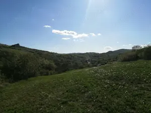 Vând teren, loc. Ampoița, jud. Alba  - imagine 5