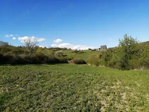 Vând teren, loc. Ampoița, jud. Alba  - imagine 12