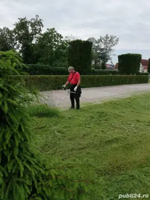 curatat spatii verzi, buruieni, terenuri