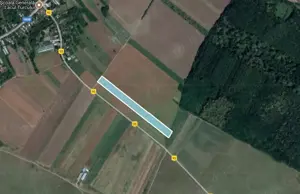 Teren intravilan Balta Doamnei