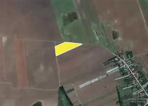 Teren extravilan Balta Doamnei