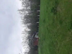 Teren de Vânzare Intravilan