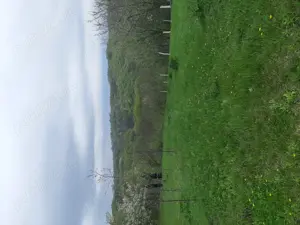 Teren de Vânzare Intravilan - imagine 5