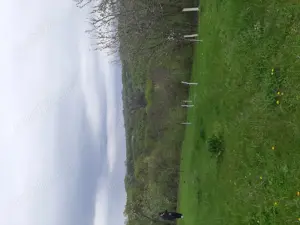 Teren de Vânzare Intravilan - imagine 3