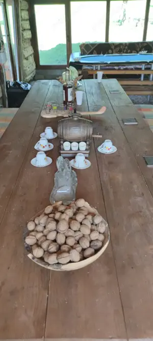 Cabana cu ciubăr, masa de tenis poker, darts, teren de volei badminton - imagine 5