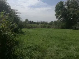 Vând 2109 mp teren Albești - spre Barajul Vidraru