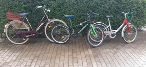 Vamd biciclete, Sebes Alba.