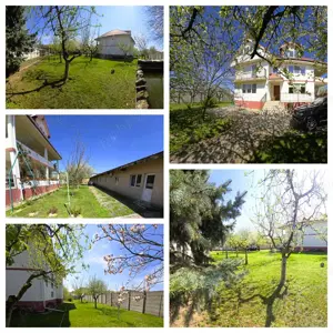 Vanzare vila, afacere familie, investie imobiliara, Magurele, Ilfov - imagine 17