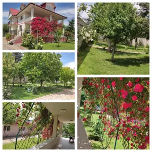 Vanzare vila, afacere familie, investie imobiliara, Magurele, Ilfov