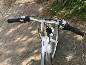 Vand bicicleta California Domo - imagine 2