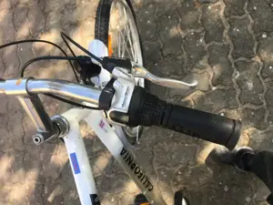 Vand bicicleta California Domo - imagine 3