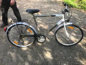 Vand bicicleta California Domo - imagine 4