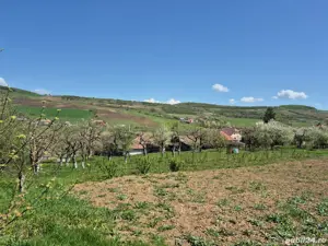 Casă țărănească autentică,  teren generos și multe facilități.  - imagine 2