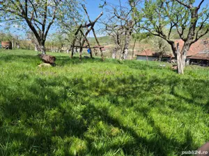 Casă țărănească autentică,  teren generos și multe facilități.  - imagine 5