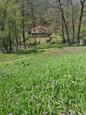 Vând casa in zona de munte, com. Podeni, jud. Mehedinți. - imagine 5