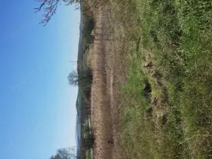 Pământ de vânzare Mahaceni 