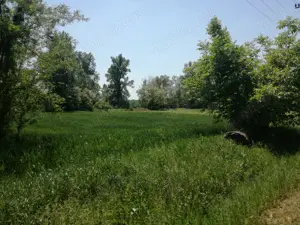 Teren intravilan 5390mp, Vladimir-Andreesti, jud Gorj - imagine 2