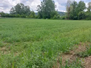 Teren intravilan 5390mp, Vladimir-Andreesti, jud Gorj - imagine 3