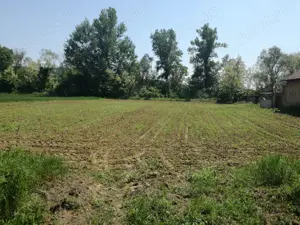 Teren intravilan 5390mp, Vladimir-Andreesti, jud Gorj - imagine 5