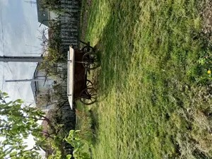 Vand căruță artizanala veche de 50 ani din regiunea Oltenia  - imagine 3