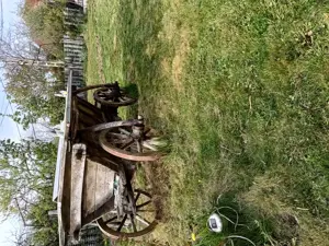 Vand căruță artizanala veche de 50 ani din regiunea Oltenia 