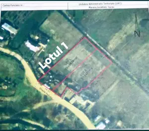 Teren intravilan Insula mare a Brailei