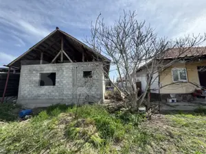 2 case renovabile, teren 1397 mp, front 29 ml, Brestei - imagine 5